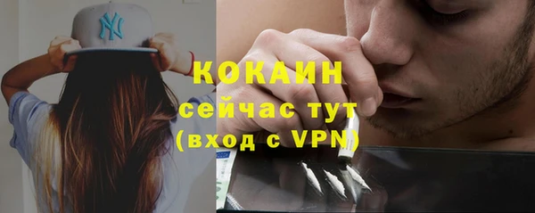 МДПВ Каменка