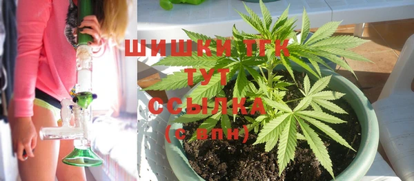 МДПВ Каменка