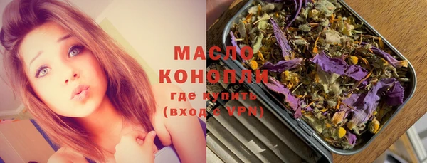 МДПВ Каменка
